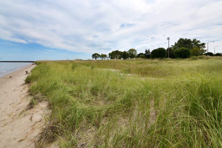 63rd Street Dune 1